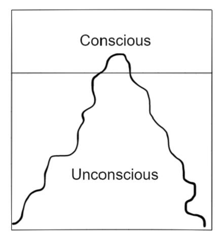 2% conscious, 98% unconscious